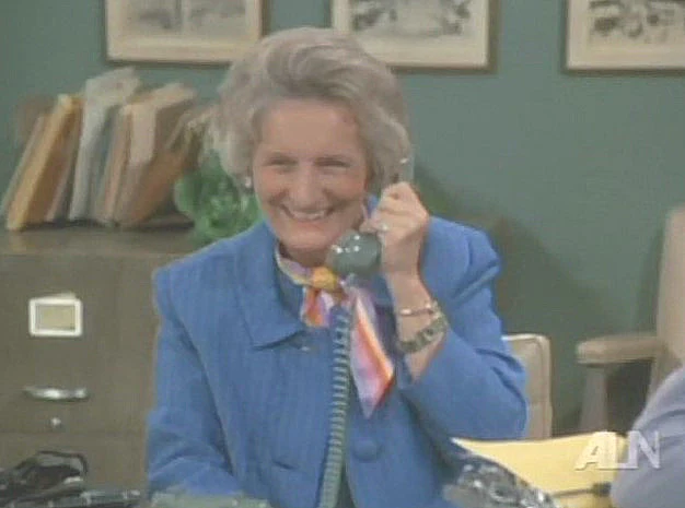 PHYLLIS - THE COMPLETE SERIES (CBS 1975-1977) RARE!!! HARD TO FIND!!! Cloris Leachman, Lisa Gerritsen, Henry Jones, Jane Rose, Judith Lowry, Liz Torres, Richard Schaal, Barbara Colby - Image 12