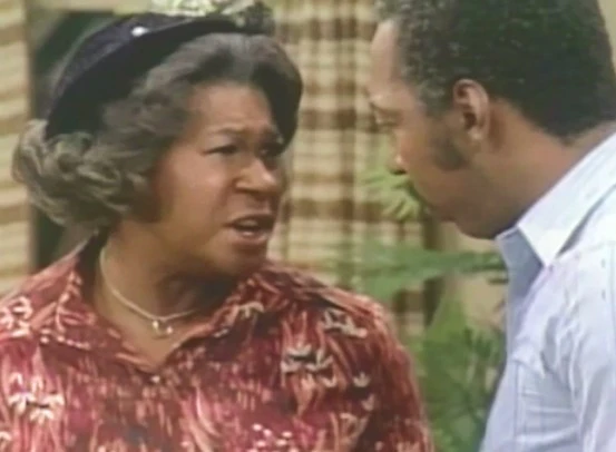 SANFORD ARMS - THE COMPLETE SERIES (NBC 1977) EXTREMELY RARE!!! Teddy Wilson, LaWanda Page, Whitman Mayo, Don Bexley, Tina Andrews, John Earl, Bebe Drake - Image 8