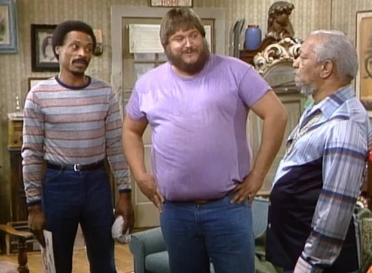 SANFORD - THE COMPLETE SERIES (NBC 1980-81) RARE!!! STUDIO QUALITY!!! Redd Foxx, Dennis Burkley, Nathaniel Taylor - Image 4