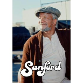 SANFORD - THE COMPLETE SERIES (NBC 1980-81) RARE!!! STUDIO QUALITY!!! Redd Foxx, Dennis Burkley, Nathaniel Taylor - Image 8