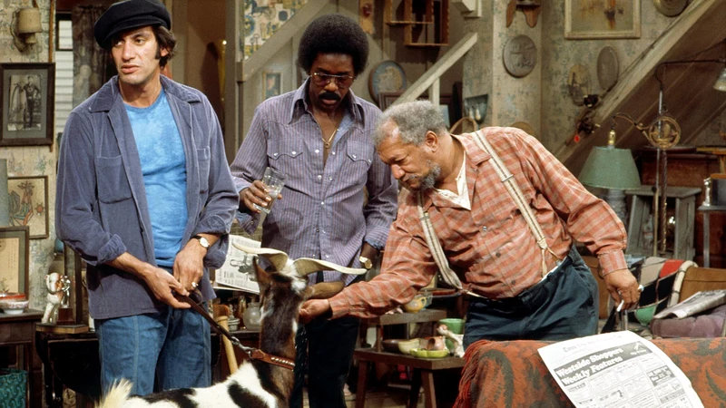 SANFORD AND SON – THE COMPLETE SERIES (NBC 1972-78) Redd Foxx, Demond Wilson, LaWanda Page, Whitman Mayo, Don Bexley - Image 5