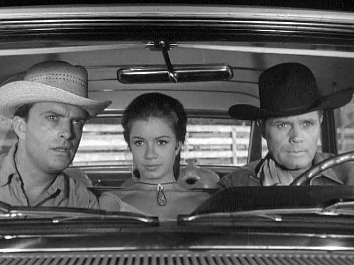 STONEY BURKE (ABC 1962-63) EXCELLENT QUALITY! Jack Lord, Warren Oates, Bruce Dern, Robert Dowdell, Bill Hart - Image 6