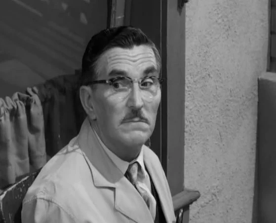 ANDY GRIFFITH SHOW, THE - THE COMPLETE SERIES (CBS 1960-68) Andy Griffith, Don Knotts, Ron Howard, Frances Bavier, Howard McNear, George Lindsey, Jim Nabors, Aneta Corsaut, Hal Smith - Image 11