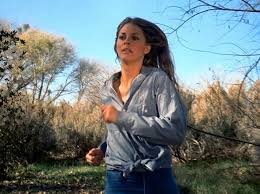 BIONIC WOMAN, THE - THE COMPLETE SERIES + BONUS (ABC 1976-77, NBC 1977-78) Lindsay Wagner, Richard Anderson, Martin E. Brooks, Lee Majors - Image 5