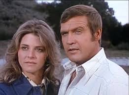 BIONIC WOMAN, THE - THE COMPLETE SERIES + BONUS (ABC 1976-77, NBC 1977-78) Lindsay Wagner, Richard Anderson, Martin E. Brooks, Lee Majors - Image 8