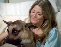 BIONIC WOMAN, THE - THE COMPLETE SERIES + BONUS (ABC 1976-77, NBC 1977-78) Lindsay Wagner, Richard Anderson, Martin E. Brooks, Lee Majors - Image 9