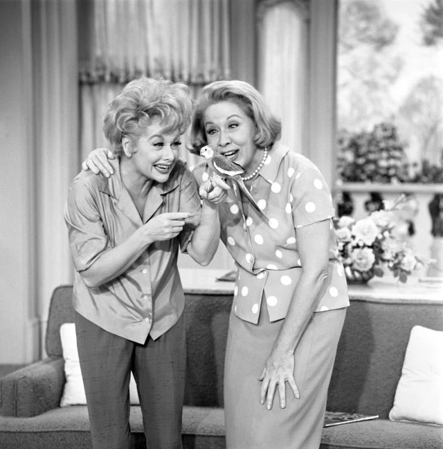 THE LUCY SHOW - THE COMPLETE SERIES (CBS 1962-1968) - Image 4
