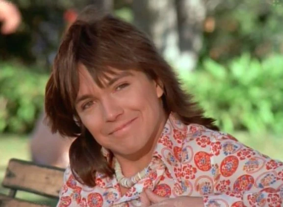 PARTRIDGE FAMILY, THE - THE COMPLETE SERIES + BONUS MOVIE (ABC 1970-74) David Cassidy, Shirley Jones, Susan Dey, Danny Bonaduce, Dave Madden, Jeremy Gelbwaks, Susanne Crough, Ricky Segall - Image 5