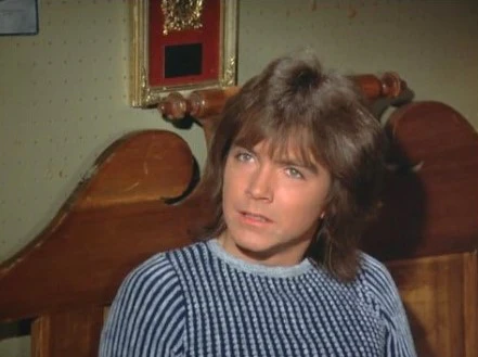 PARTRIDGE FAMILY, THE - THE COMPLETE SERIES + BONUS MOVIE (ABC 1970-74) David Cassidy, Shirley Jones, Susan Dey, Danny Bonaduce, Dave Madden, Jeremy Gelbwaks, Susanne Crough, Ricky Segall - Image 6