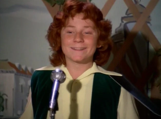 PARTRIDGE FAMILY, THE - THE COMPLETE SERIES + BONUS MOVIE (ABC 1970-74) David Cassidy, Shirley Jones, Susan Dey, Danny Bonaduce, Dave Madden, Jeremy Gelbwaks, Susanne Crough, Ricky Segall - Image 8