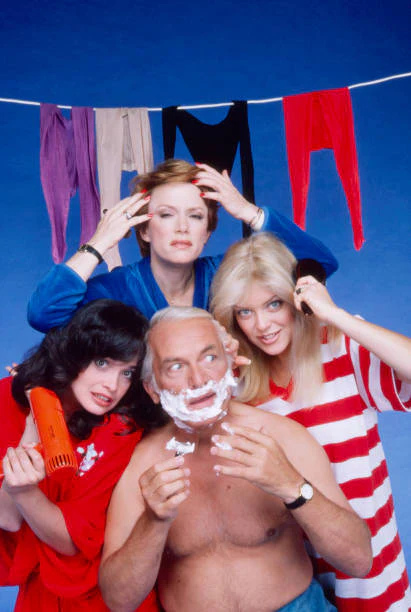 TOO CLOSE FOR COMFORT – THE COMPLETE SERIES (ABC 1980–1983, SYN 1984-1987) EXCELLENT QUALITY!!! Ted Knight, Nancy Dussault, Deborah Van Valkenburgh, Lydia Cornell, Jim J. Bullock, Audrey Meadows, Pat Carroll, Deena Freeman, Lisa Antille - Image 2