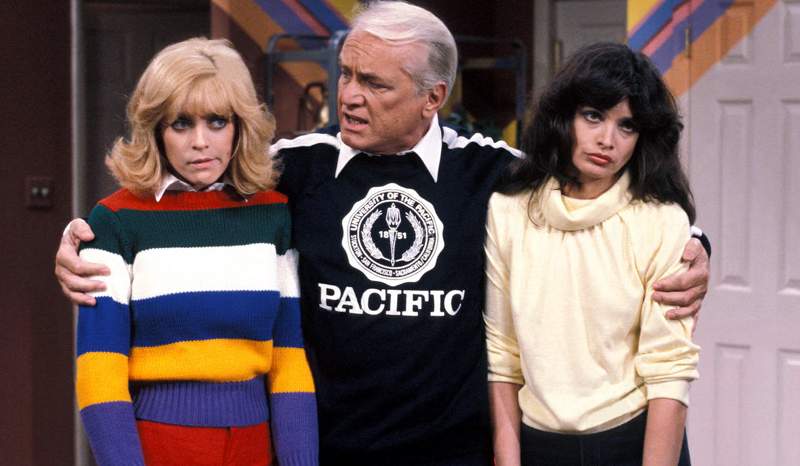 TOO CLOSE FOR COMFORT – THE COMPLETE SERIES (ABC 1980–1983, SYN 1984-1987) EXCELLENT QUALITY!!! Ted Knight, Nancy Dussault, Deborah Van Valkenburgh, Lydia Cornell, Jim J. Bullock, Audrey Meadows, Pat Carroll, Deena Freeman, Lisa Antille - Image 5