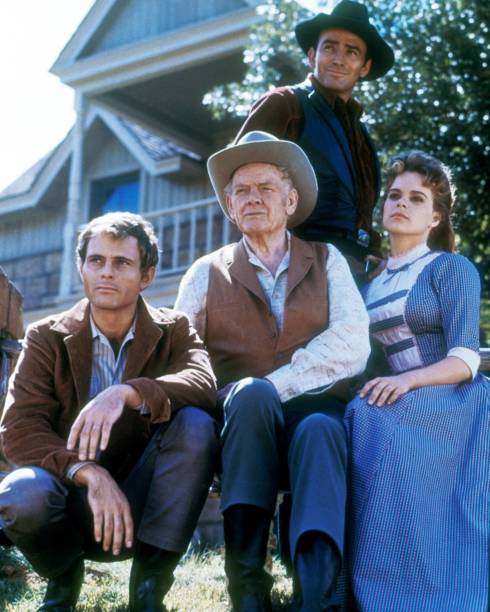VIRGINIAN, THE/THE MEN FROM SHILOH – THE COMPLETE SERIES (NBC 1962-1971) RETAIL QUALITY!!! James Drury, Lee J. Cobb, Doug McClure, Lee Majors, John McIntire, Stewart Granger, Gary Clark, Jeanette Nolan, David Hartman, Roberta Shore, Randy Boone, Don Quine - Image 3
