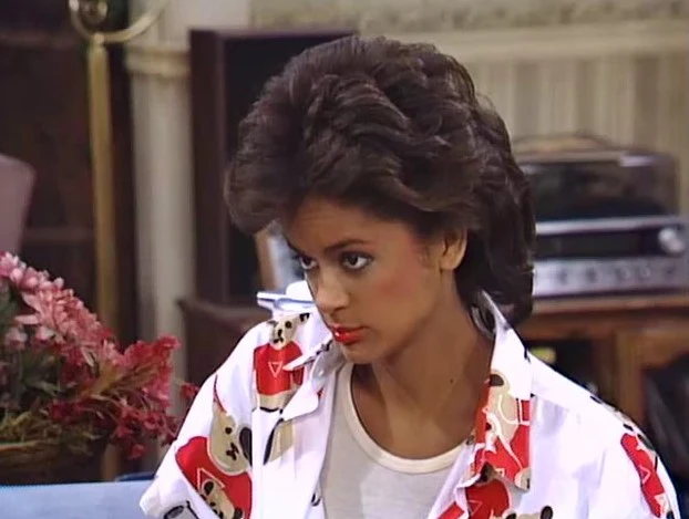 WHAT'S HAPPING NOW!! - THE COMPLETE SERIES (SYN 1985-88) RARE!!! BROADCAST QUALITY!!! Ernest Thomas, Haywood Nelson, Fred Berry, Shirley Hemphill, Anne-Marie Johnson, Martin Lawrence, Danielle Spencer - Image 13
