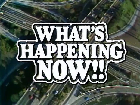 WHAT'S HAPPING NOW!! - THE COMPLETE SERIES (SYN 1985-88) RARE!!! BROADCAST QUALITY!!! Ernest Thomas, Haywood Nelson, Fred Berry, Shirley Hemphill, Anne-Marie Johnson, Martin Lawrence, Danielle Spencer - Image 2