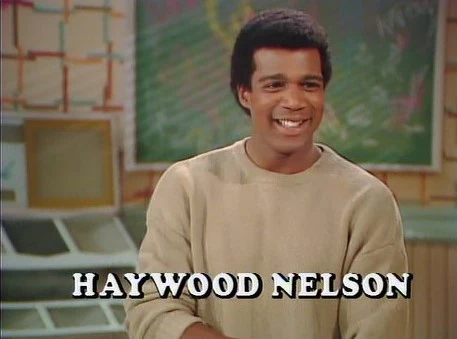 WHAT'S HAPPING NOW!! - THE COMPLETE SERIES (SYN 1985-88) RARE!!! BROADCAST QUALITY!!! Ernest Thomas, Haywood Nelson, Fred Berry, Shirley Hemphill, Anne-Marie Johnson, Martin Lawrence, Danielle Spencer - Image 5